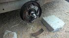 New Knott brake shoes fitted to this Cheval Horse Trailer