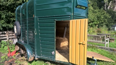  Horse trailer servicing in East Sussex